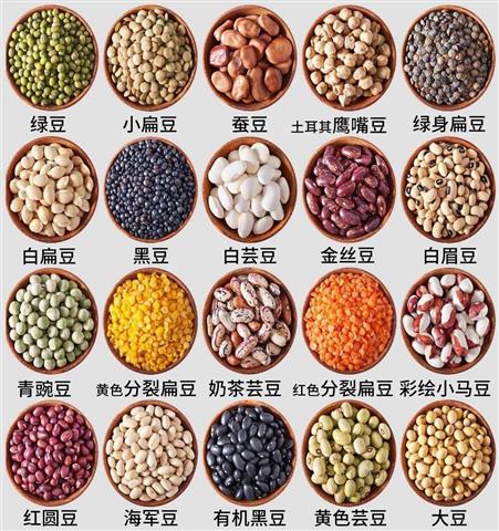 豆类图片